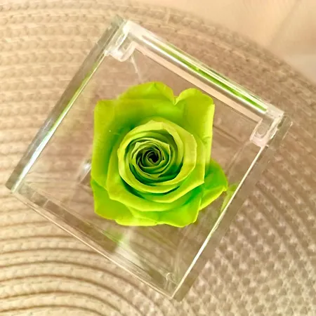 Διαμέρισμα Sul Corso *