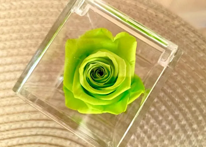 Apartment Sul Corso *